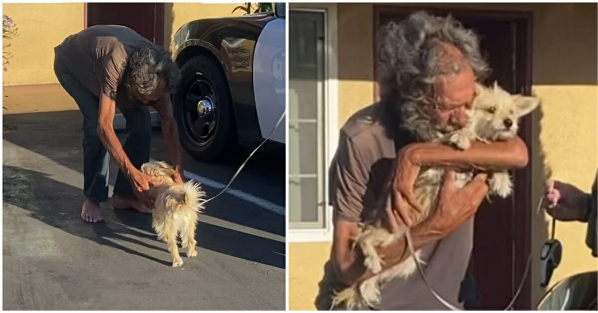 Homeless veteran reunites with his beloved support dog after he was ...