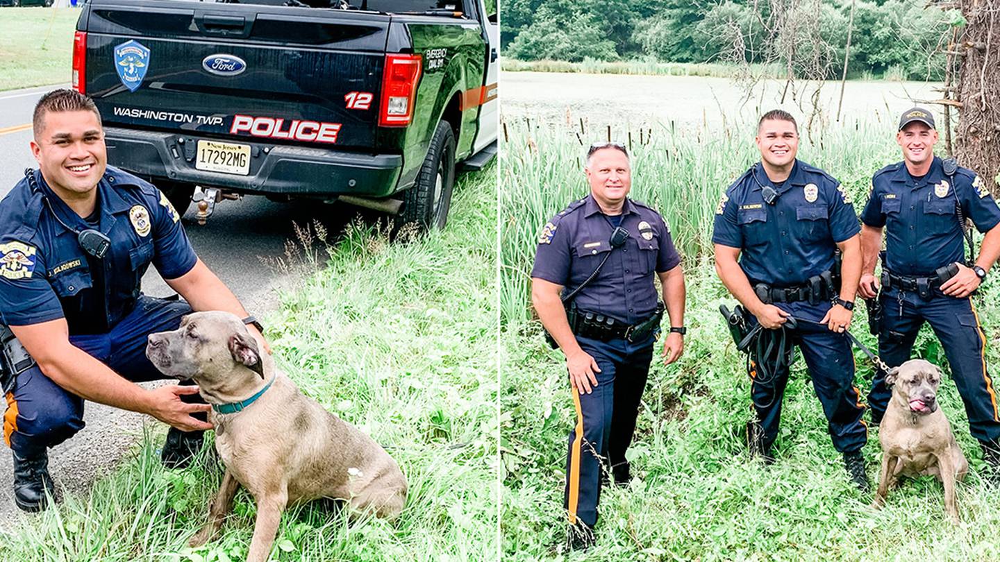 Police officer uses kayak to rescue struggling dog trapped in muddy NJ ...