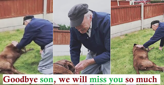 90- Year -Old Neighbor Comes To Say His Goodbye To Dying Dog – Dog ...