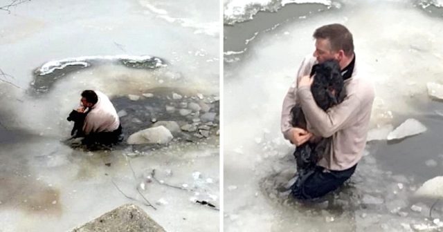 MAN SEES A TERRIFIED DOG STRUGGLING IN THE FREEZING WATER SO HE JUMPS ...
