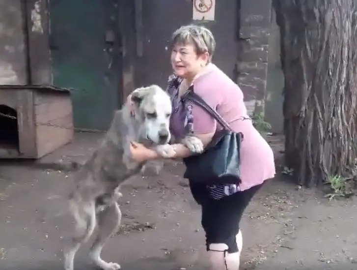A dog that has been missing for two years has a heartwarming reunion ...