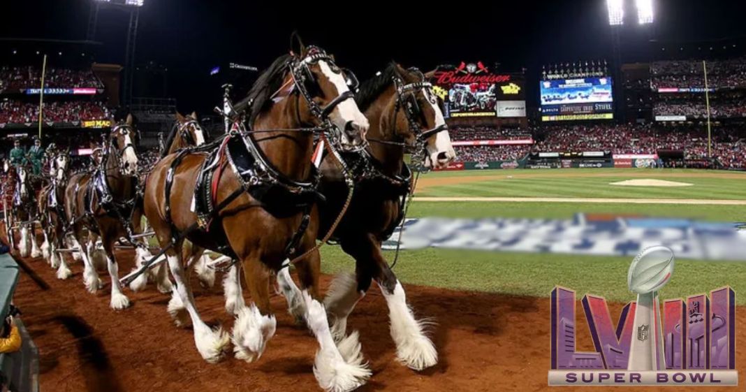 Iconic Budweiser’s Heartwarming Super Bowl 58 Commercial Brings Back